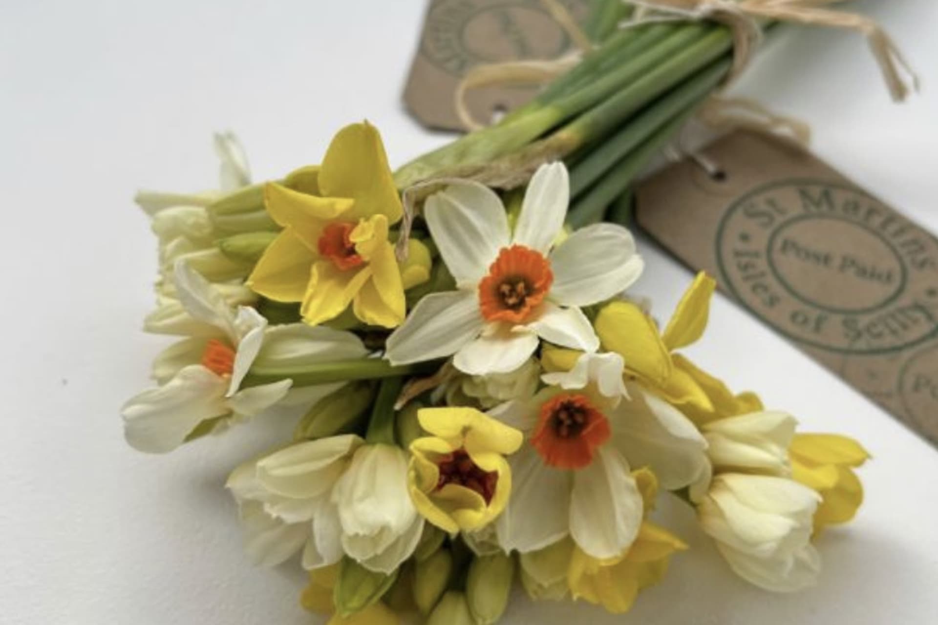 Scented narcissi from Churchtown Flowers - St Martin's, Isles of Scilly